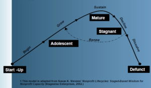Stevens, Ph.D., Susan Kenny Nonprofit Lifecycles: Stage-Based Wisdom for Nonprofit Capacity, May 2002