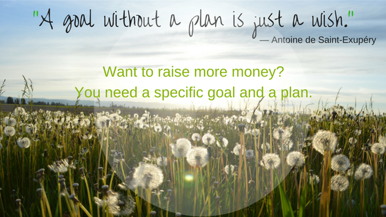 white dandelions in field: want to raise more money? Fundraising plan.