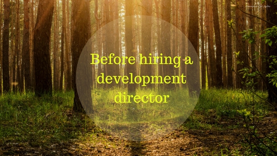 Before hiring a development director on top of a grove of trees in sunlight