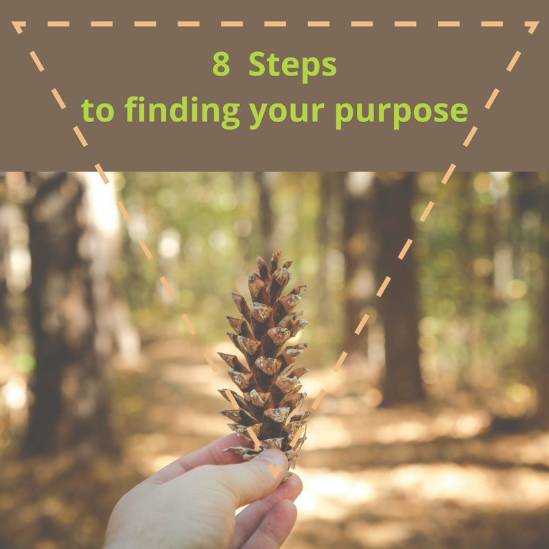 hand holding pine cone in front of a forest of pine trees with words 8 steps to finding your purpose